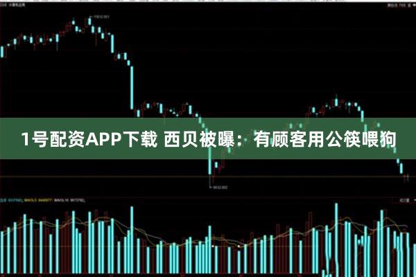 1号配资APP下载 西贝被曝：有顾客用公筷喂狗