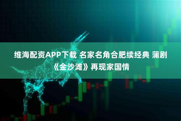 维海配资APP下载 名家名角合肥续经典 蒲剧《金沙滩》再现家国情