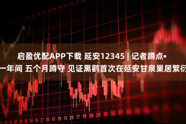 启盈优配APP下载 延安12345 | 记者蹲点• 一年间 五个月蹲守 见证黑鹳首次在延安甘泉巢居繁衍