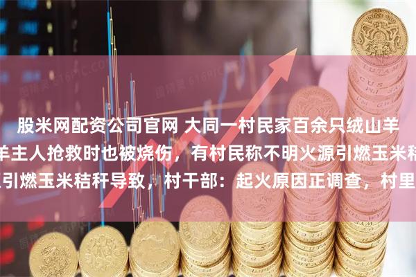 股米网配资公司官网 大同一村民家百余只绒山羊被大火烧死，患残疾的羊主人抢救时也被烧伤，有村民称不明火源引燃玉米秸秆导致，村干部：起火原因正调查，村里正研究给他补偿