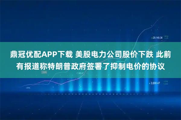 鼎冠优配APP下载 美股电力公司股价下跌 此前有报道称特朗普政府签署了抑制电价的协议