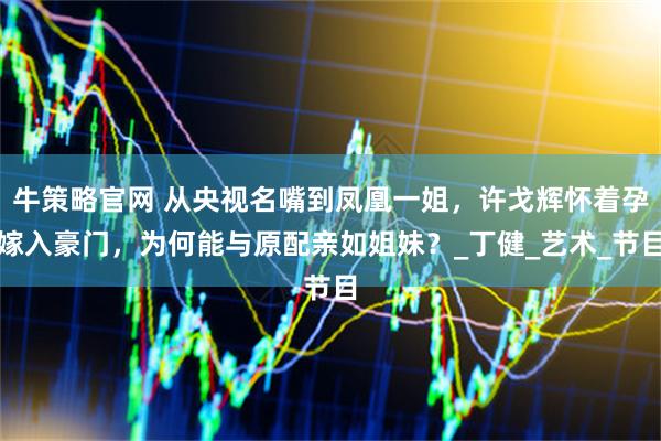牛策略官网 从央视名嘴到凤凰一姐，许戈辉怀着孕嫁入豪门，为何能与原配亲如姐妹？_丁健_艺术_节目